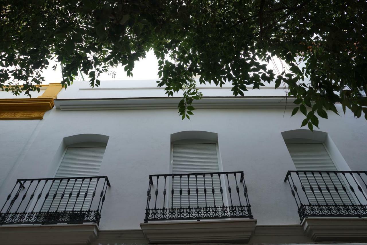 Atico Con Terraza En Alameda De Hercules Севілья Екстер'єр фото
